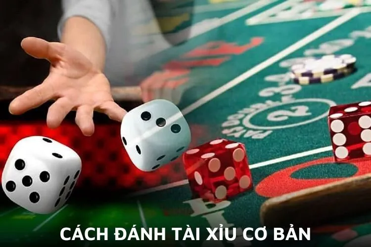 Cách đánh tài xỉu cơ bản